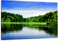 Obraz CANVAS Jezioro i las do salonu sypialni na ścianę
