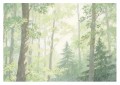 Fototapeta dla dzieci PASTELOWY LAS DRZEWA NATURA