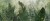 WST-906 MIN.jpeg