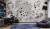WST-913 W6.jpeg