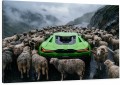 obraz Czarna Owca Sukcesu Lamborghini Aventador SVJ i stado owiec