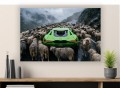 obraz Czarna Owca Sukcesu Lamborghini Aventador SVJ i stado owiec