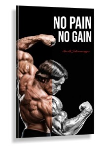Obraz ARNOLD SCHWARZENEGGER No Pain No Gain Motywacyjny – Nowoczesna Sztuka Loft Fitness do Domowej Siłowni i Biura – Edycja Premium