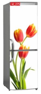 Naklejka, Okleina Laminowana na Lodówkę Tulipan Pomarańczowy