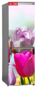 Naklejka, Okleina Laminowana na Lodówkę Tulipany Kwiaty