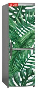 Naklejka, Okleina Laminowana na Lodówkę Liście Monstera Palmy