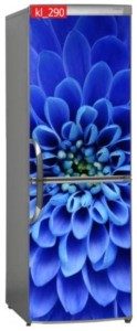Naklejka, Okleina Laminowana na Lodówkę Kwiat Przybliżenie Niebieski