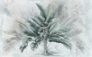 Egzotyczna fototapeta z bananowcem – liście palmy, mgliste tło i przecierana tekstura w stylu Vintage i Shabby Chic