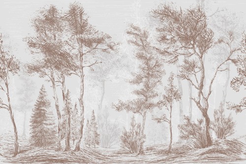 Rustykalna fototapeta z leśnym pejzażem – linearny szkic sosen, szary las i rycina botaniczna w stylu Vintage i Scandi