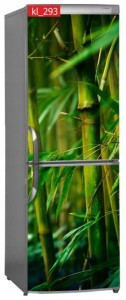 Naklejka, Okleina Laminowana na Lodówkę Bambus Las