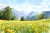 WST-985 MIN - a .jpg