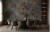 WST-978 w4.jpg