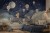 WST-996 w4.jpg