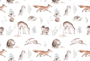 Fototapeta dla dzieci zwierzątka leśne fsd138