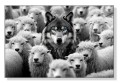 Obraz WOLF AMONG SHEEP Wilk i Owce Czarno-Biały – Nowoczesna Sztuka Loft Motywacja do Salonu i Biura