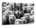 Obraz WOLF AMONG SHEEP Wilk i Owce Czarno-Biały – Nowoczesna Sztuka Loft Motywacja do Salonu i Biura