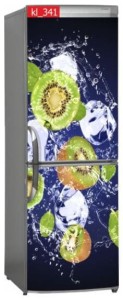 Naklejka, Okleina Laminowana na Lodówkę Kiwi Lód Woda