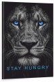 Obraz Lew Stay Hungry Blue Eyes – Biznes Motywacja Sukces Premium