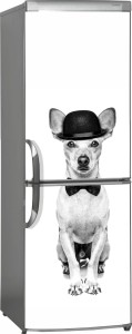 Naklejka, Okleina Laminowana na Lodówkę Pies w Czapce 