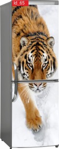 Naklejka, Okleina Laminowana na Lodówkę Tygrys w Sniegu