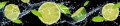 FOTOTAPETA DO KUCHNI ZMYWALNA limonki cytrusy lemon owoc
