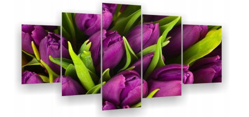 TULIPANY FIOLETOWE ot-148 2.jpg
