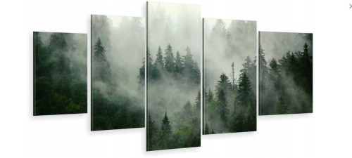 LAS NATURA MGŁA ot-1711.jpg
