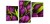 TULIPANY FIOLETOWE ot-148.jpg