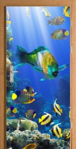 Naklejka na Drzwi Ryby Ocean