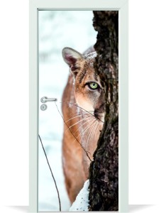 Naklejka na Drzwi Puma w Śniegu