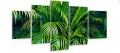 OBRAZ tryptyk 5 częściowy ZIELONE TROPIKALNE LIŚCIE 