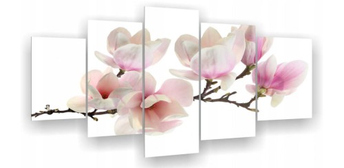 Kwiaty Magnolii ot419.jpg