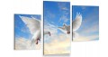 Obraz GOŁĘBIE GOŁĄB PTAKI ŚWIATŁO tryptyk na płótnie 
