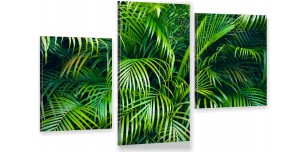 OBRAZ trzyczęściowy tryptyk ZIELONE LIŚĆIE ROŚLINY 