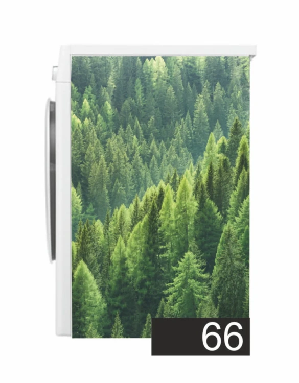66.jpg