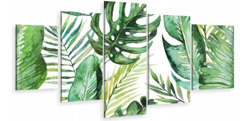 MONSTERA ZIELONE LIŚCIE ot1547.jpg