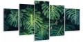 Obraz 5 części tryptyk ZIELONE LIŚCIE NATURA monstera