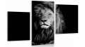 Obraz CZARNO BIAŁY LEW na płótnie canvas do sypialni salonu 