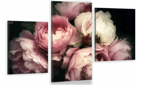 Kwiat Peonia Piwonia ot1616.jpg
