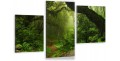 OBRAZ tropikalny las ścieżka w dżungli Tryptyk 3 częściowy