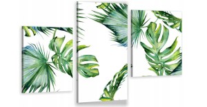 obraz canvas tryptyk MONSTERA LIŚCIE MONSTERY