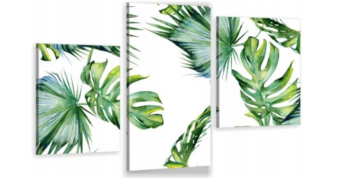 MONSTERA LIŚCIE MONSTERY ot-272.jpg