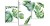 MONSTERA LIŚCIE MONSTERY ot-272.jpg