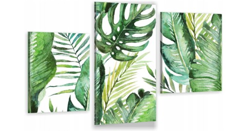 MONSTERA ZIELONE LIŚCIE ot-1547.jpg