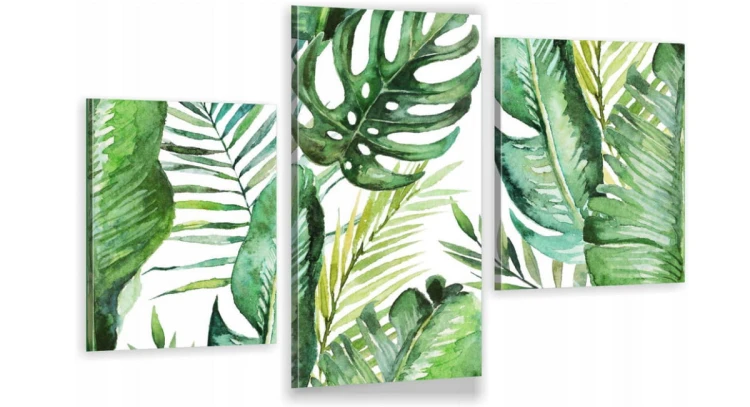 MONSTERA ZIELONE LIŚCIE ot-1547.jpg