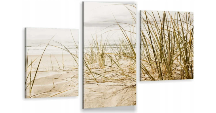PLAŻA PIASEK NATURA ot-225.jpg